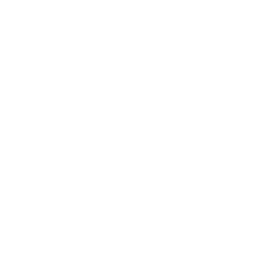 camel icon