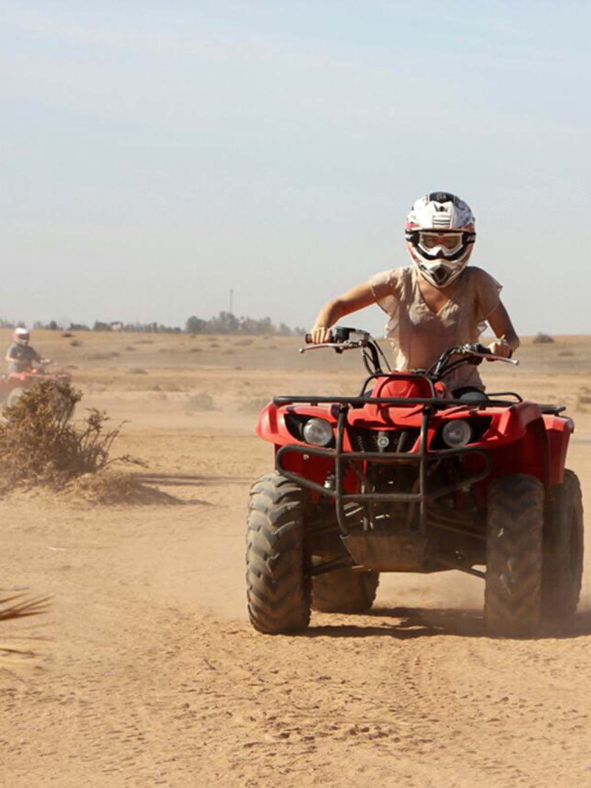 quad biking experience palm grove marrakech